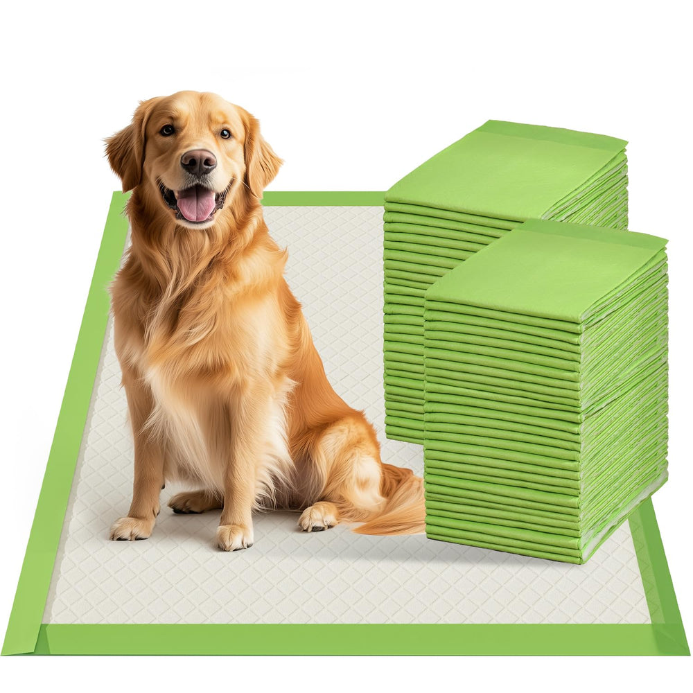Gardner Pet dog pee pad extra large 28x34 top view keeps floors dry