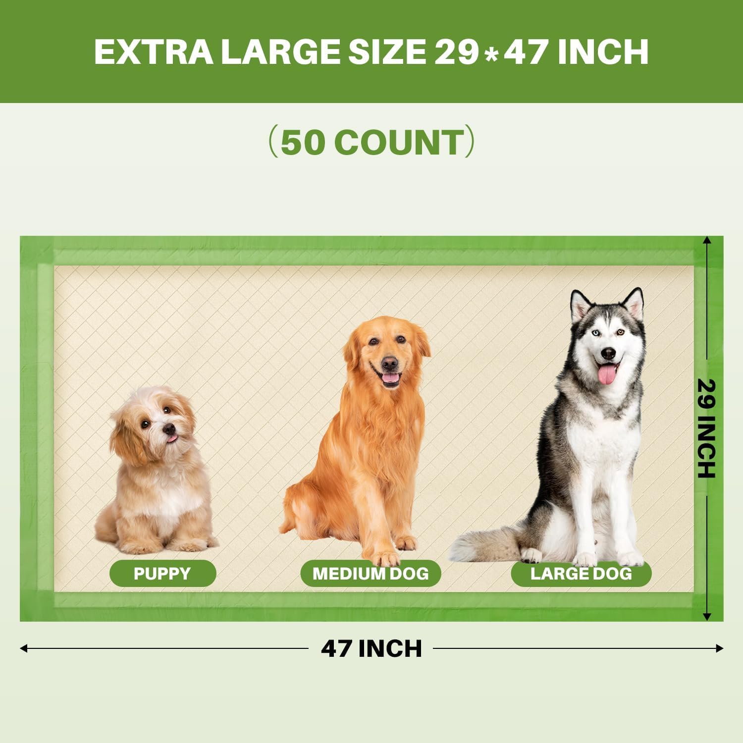 Gardner Pet six-layer absorbent core locks in liquid quickly