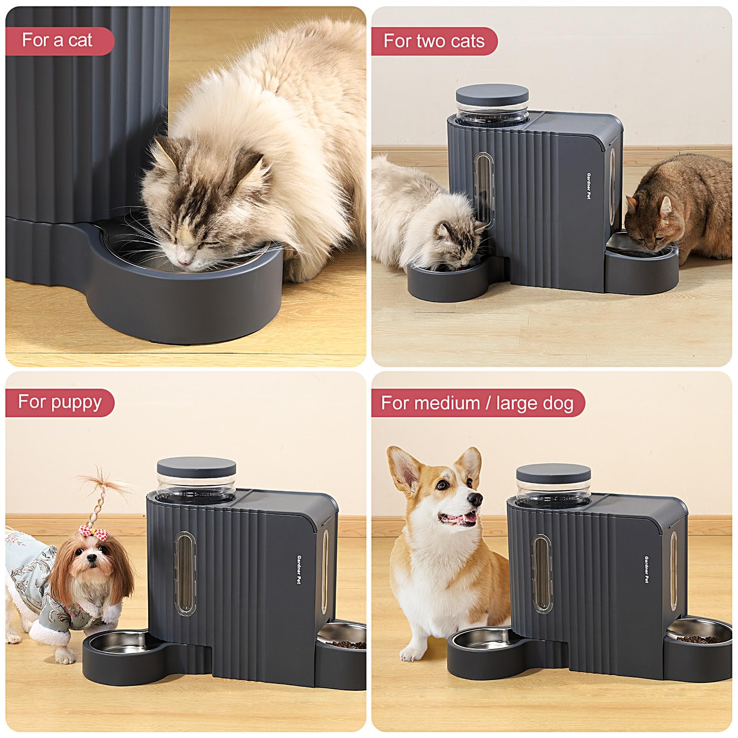 Gardner Pet dry food feeder outlet reduces jams and ensures steady portions.