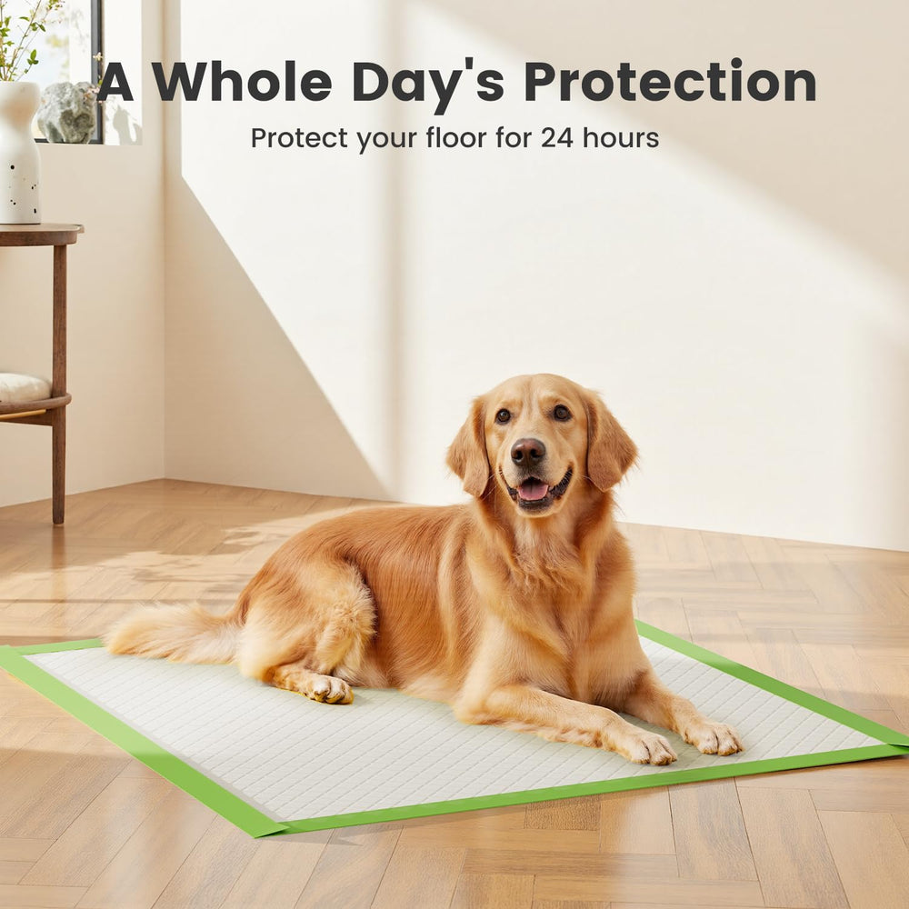 Gardner Pet full-edge wrapping pad laid out for puppy training
