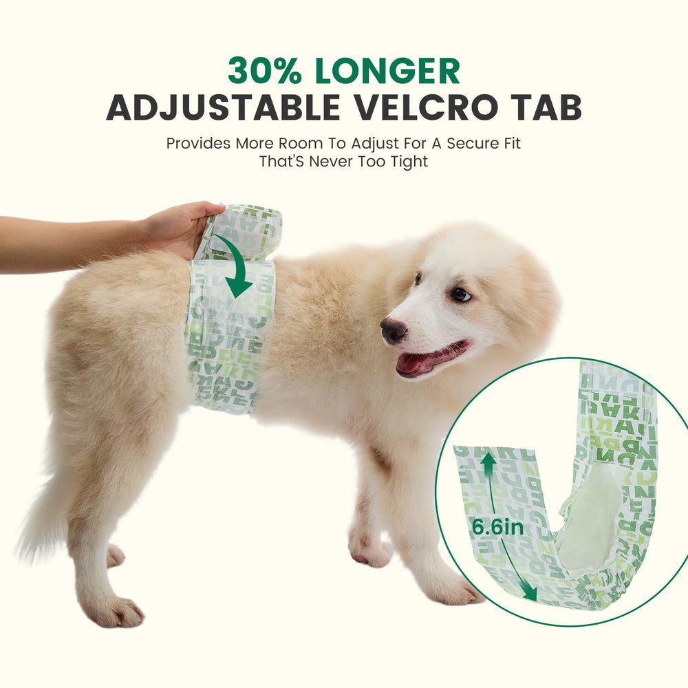 Gardner Pet diapers highlighting the 6-layer core for quick moisture control.