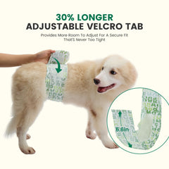 Gardner Pet diapers highlighting the 6-layer core for quick moisture control.