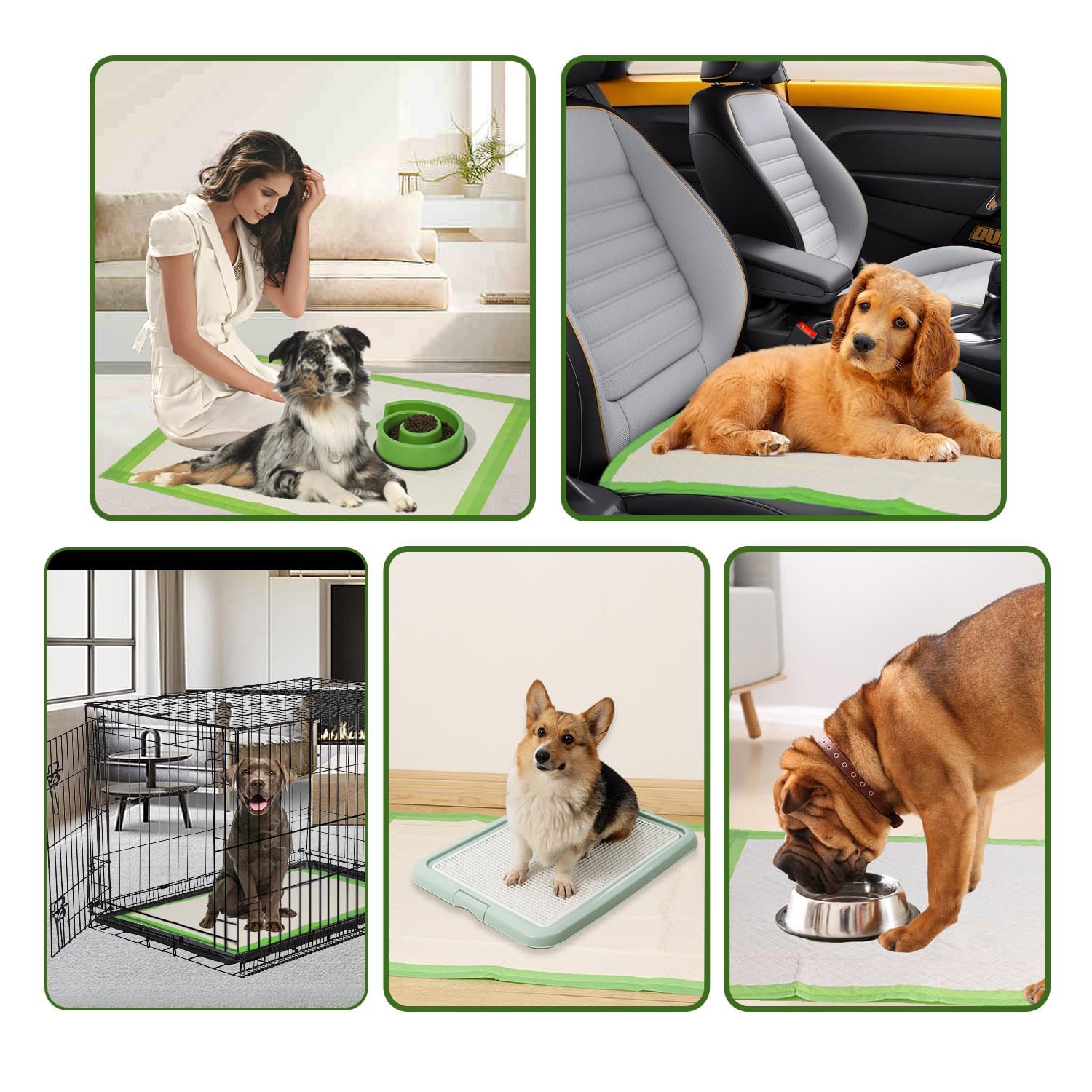 Gardner Pet multi-use pad suitable for training, travel, and aging pets.