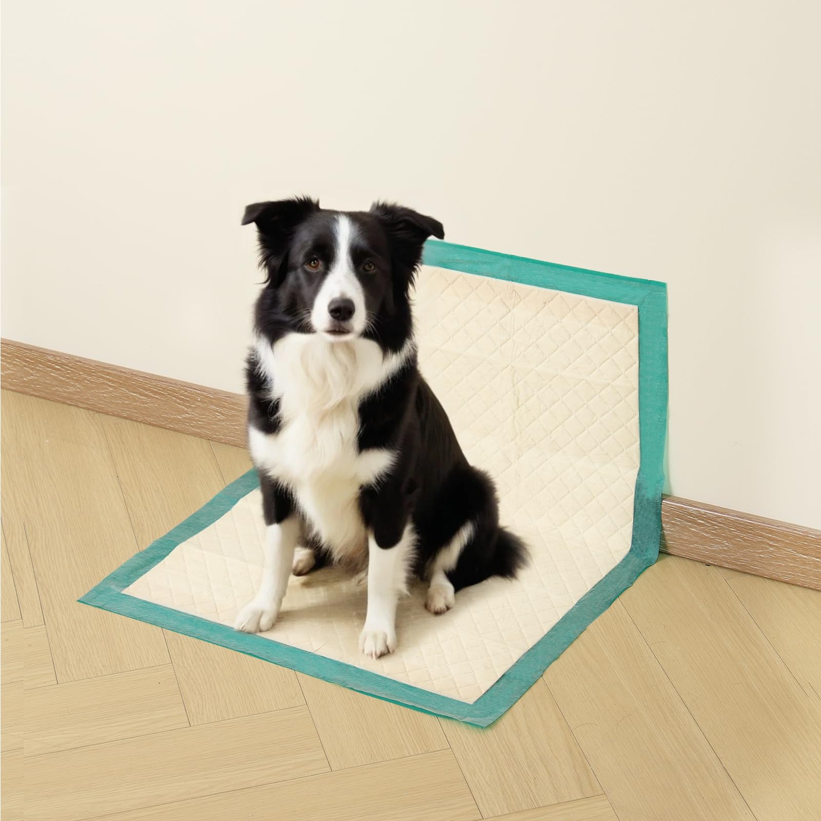 Gardner Pet pee pads suitable for cars, crates, and apartments for versatile use.