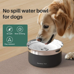 Gardner Pet slow water feeder helps calm drinking
