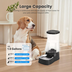 Gardner Pet stainless steel bowl detail emphasizes long-lasting, easy-clean hydration