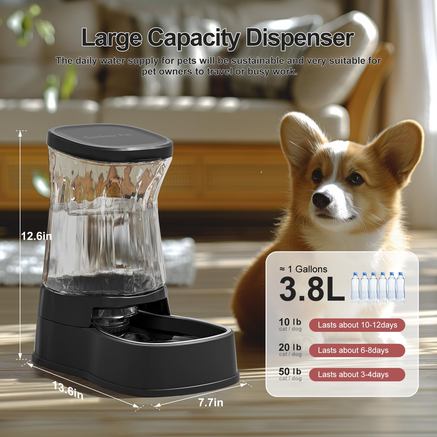 Gardner Pet stainless steel bowl provides rust-free, durable drinking surface.