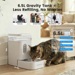 Gardner Pet stainless-steel-bowl for durable, pet-safe use.