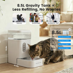 Gardner Pet stainless steel bowl for durability and easy cleaning during daily hydration.