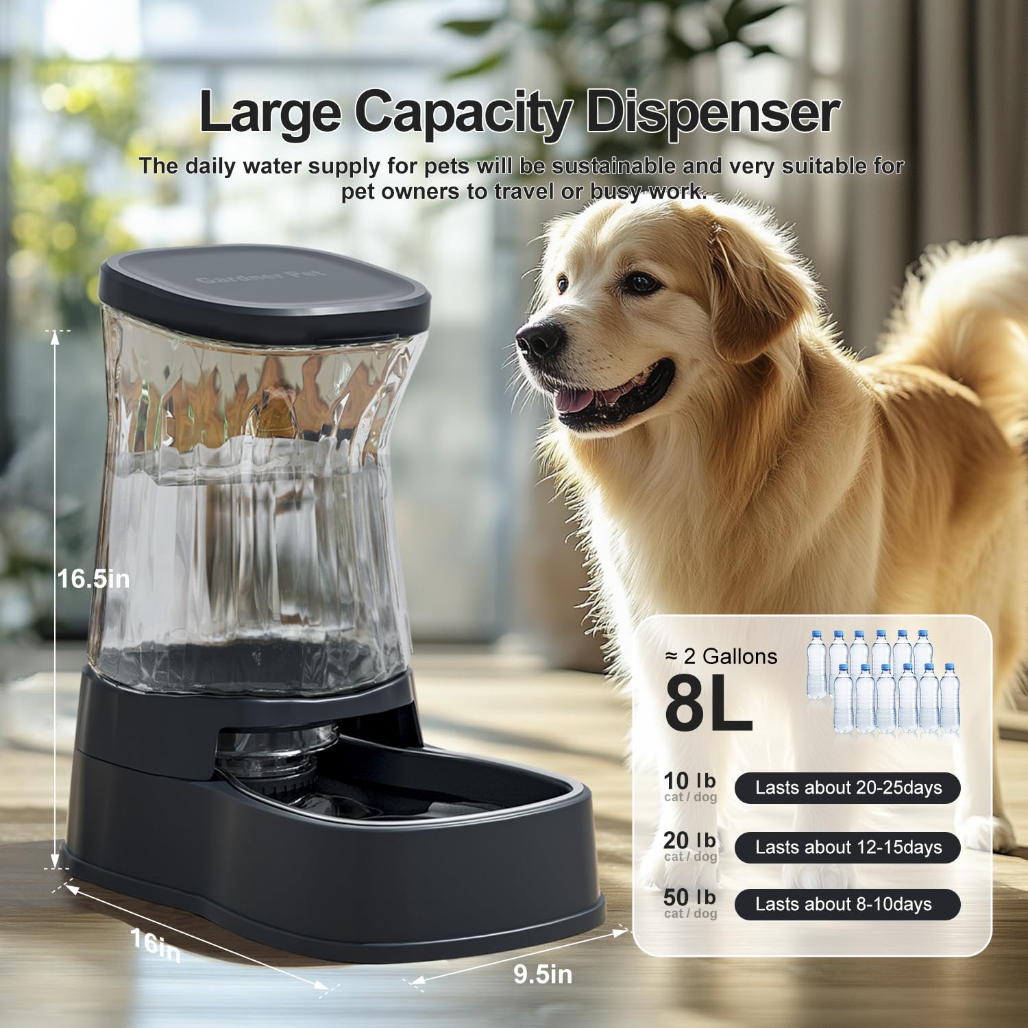 Gardner Pet stainless steel bowl offers durable, rust-free hydration.