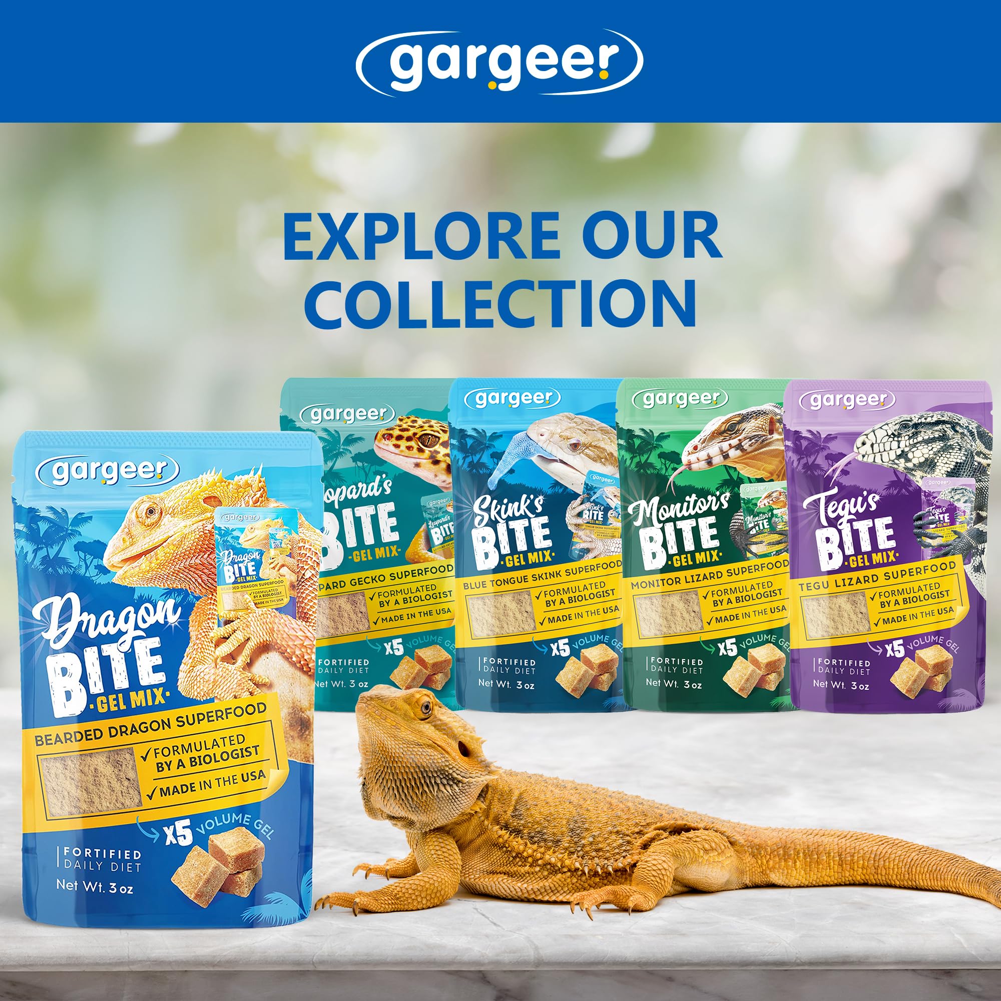 Gargeer gel diet served in dish offers convenient feeding for beardies.