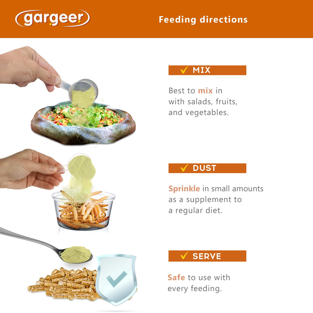 Gargeer Bearded Dragon Topper bowl ready to mix meals for color and nutrients.