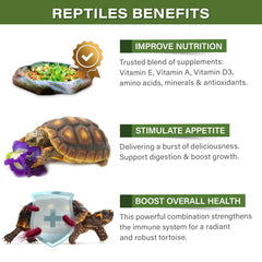 Gargeer Forest Tortoise Topper on salad, elevating texture and overall nutrition.