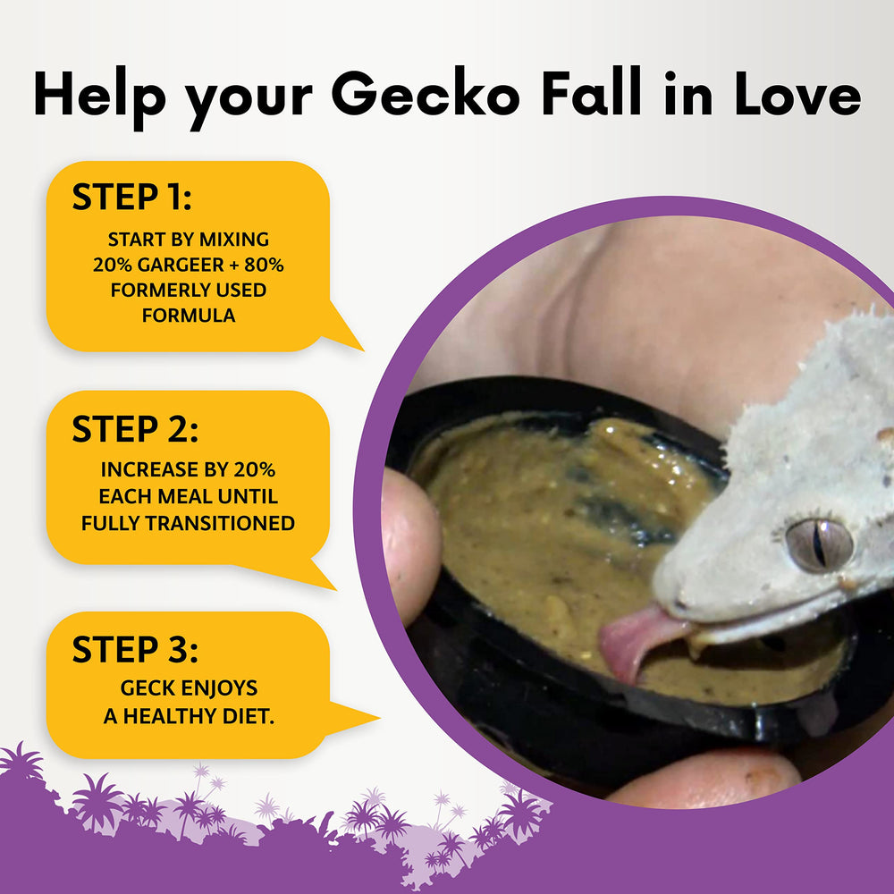 Gargeer gecko diet scoop measuring spoon for precise portions.