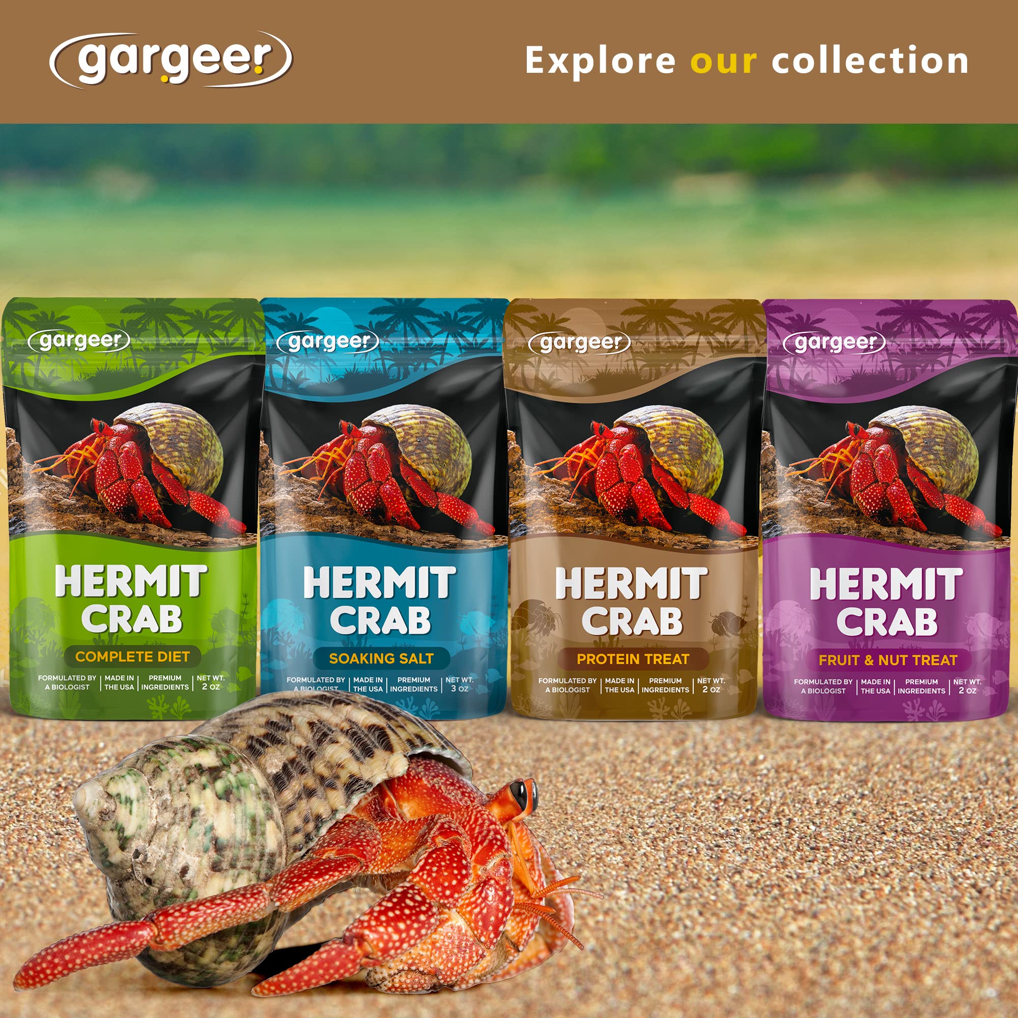 Gargeer Hermit Crab foraging nuts add enrichment and variety