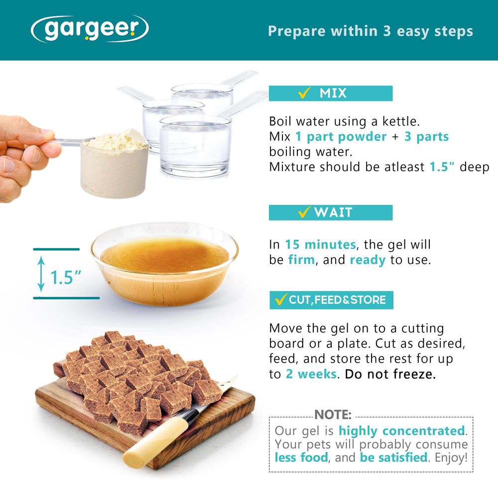Gargeer Leopard Gecko Gel Diet ready gel served in a dish for easy feeding.