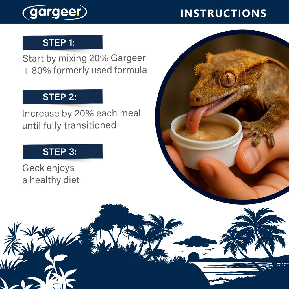 Gecko enjoying Moonlight Feast scent and premium fruit nutrition from Gargeer.