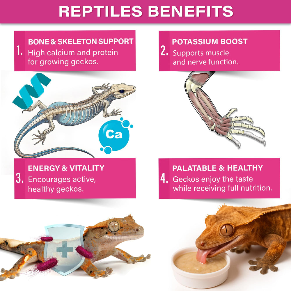 Gargeer Growth protein sources like insect and egg support balanced nutrition.
