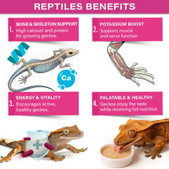 Gargeer Growth protein sources like insect and egg support balanced nutrition.