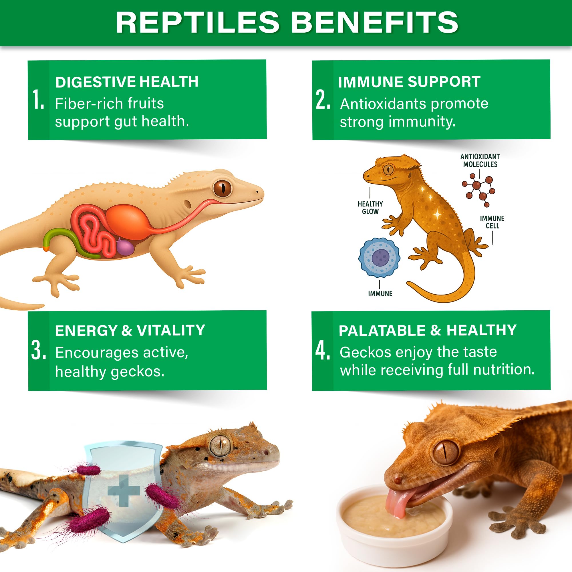 Serving bowl of Rainforest Mist ready for daily gecko feeding.