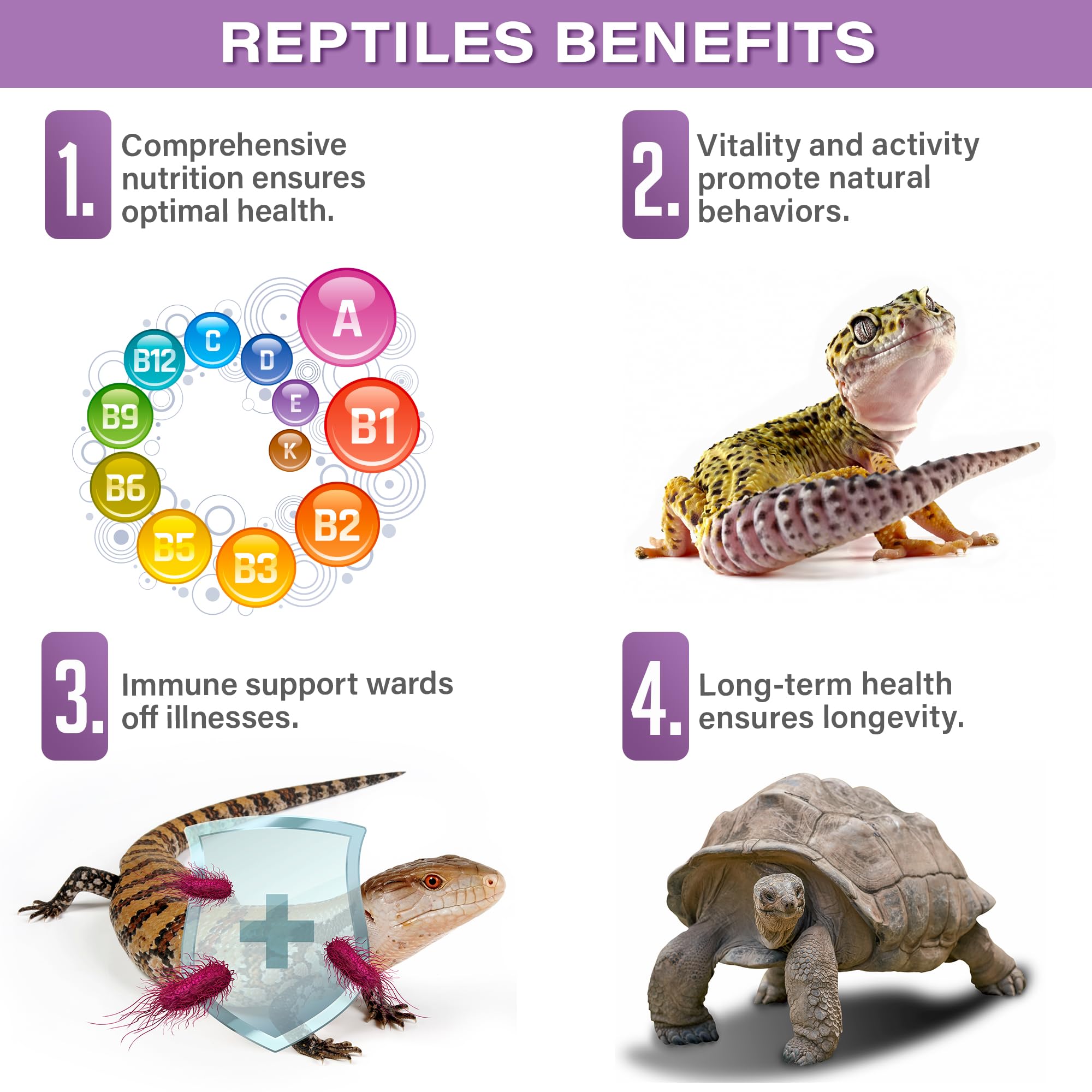 Gargeer reptile multi-vitamin powder bone and shell support