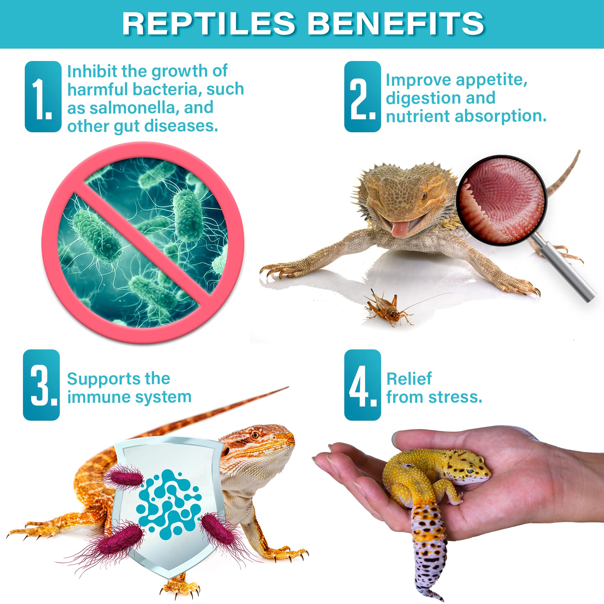 Gargeer Reptile Probiotics blends evenly with reptile food.