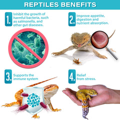 Gargeer Reptile Probiotics blends evenly with reptile food.