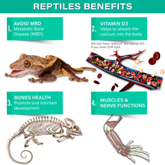 Gargeer reptile supplement dusted on a salad mix for convenient feeding.