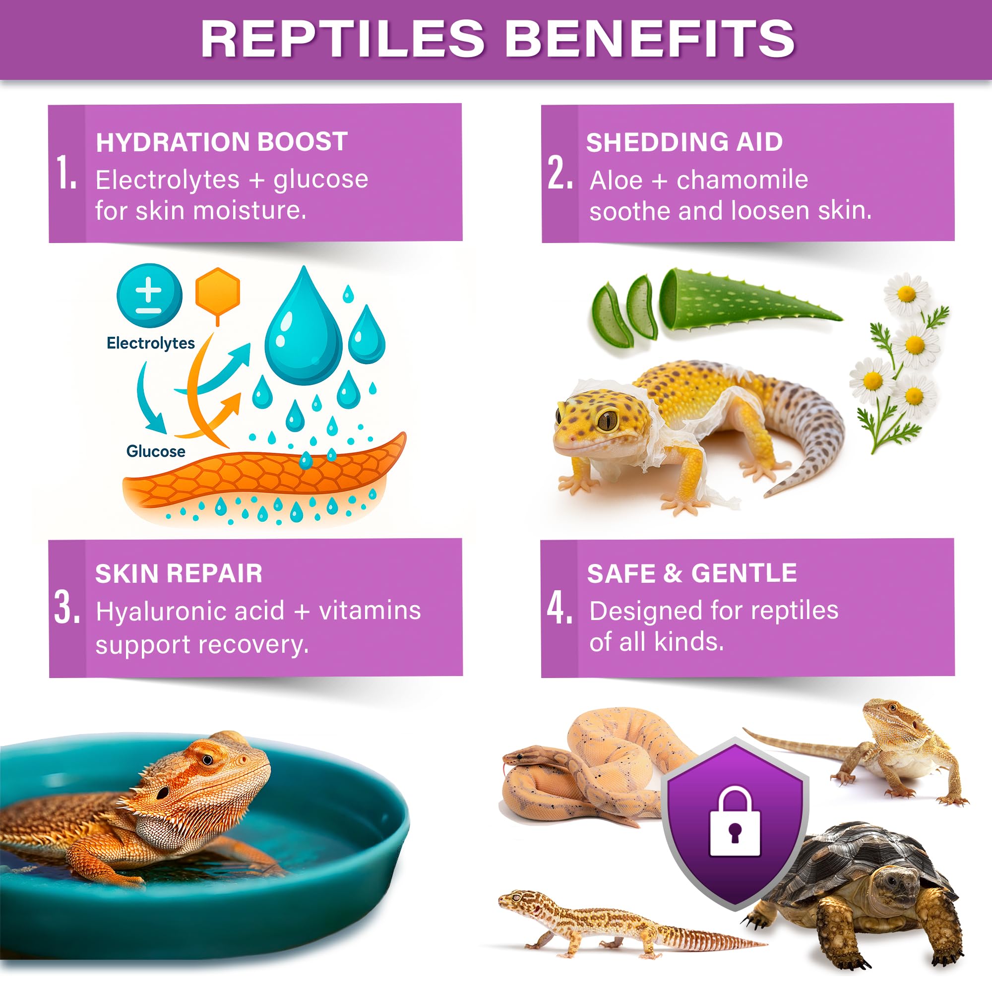 Gargeer ReptiShed hydrating soak rehydrates skin for shedding support.