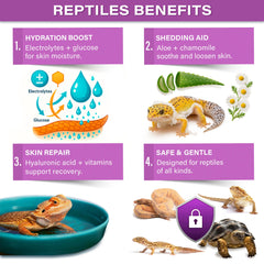 Gargeer ReptiShed hydrating soak rehydrates skin for shedding support.