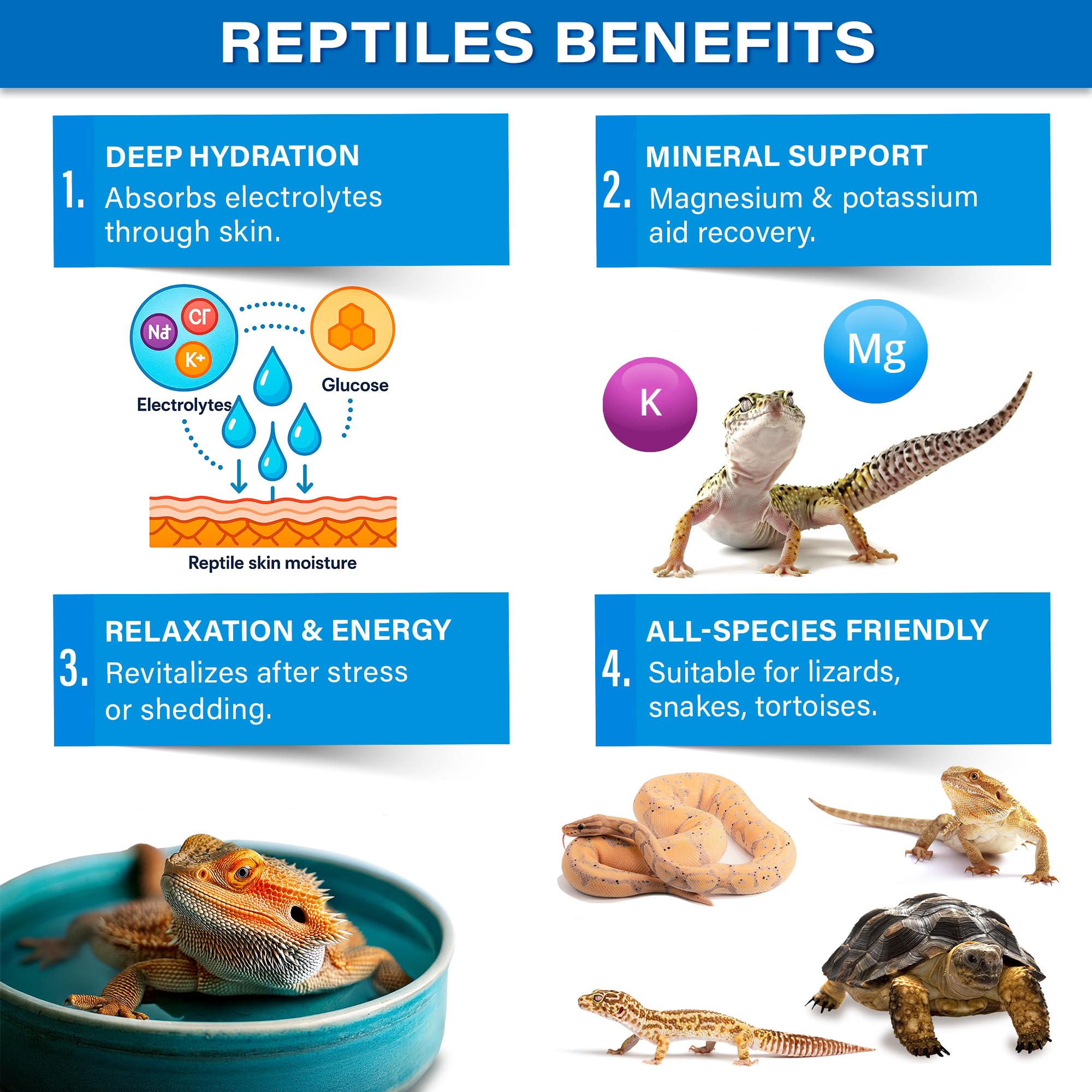 Gargeer ReptiSoak bearded dragon bath shows hydration and recovery support.