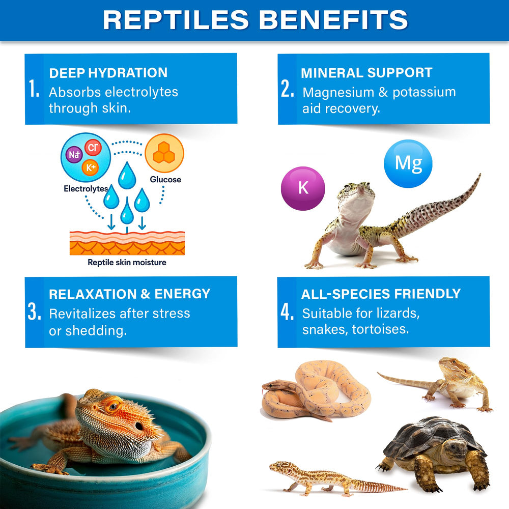 Gargeer ReptiSoak bearded dragon bath shows hydration and recovery support.