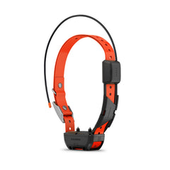 Garmin Alpha TT 25 collar front view shows rugged design for versatile breeds.
