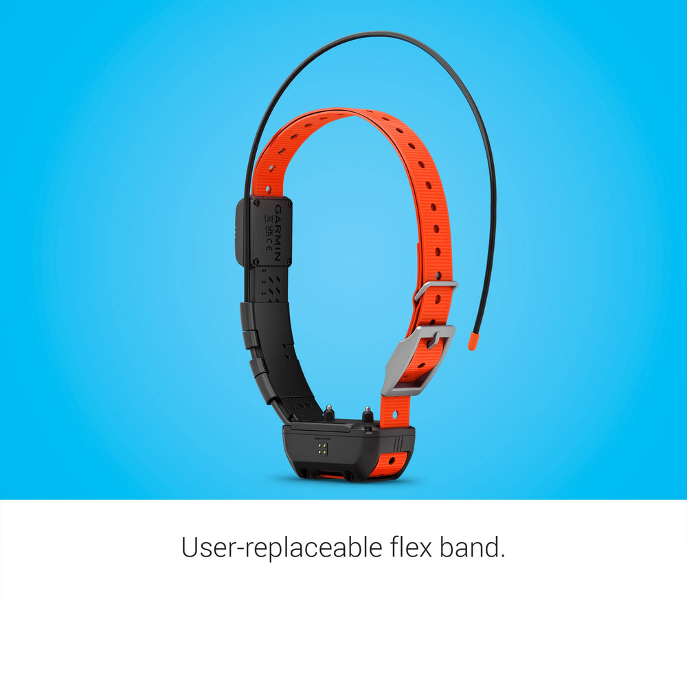 Garmin Alpha TT 25 flex band demonstrates easy sizing for multiple dogs.