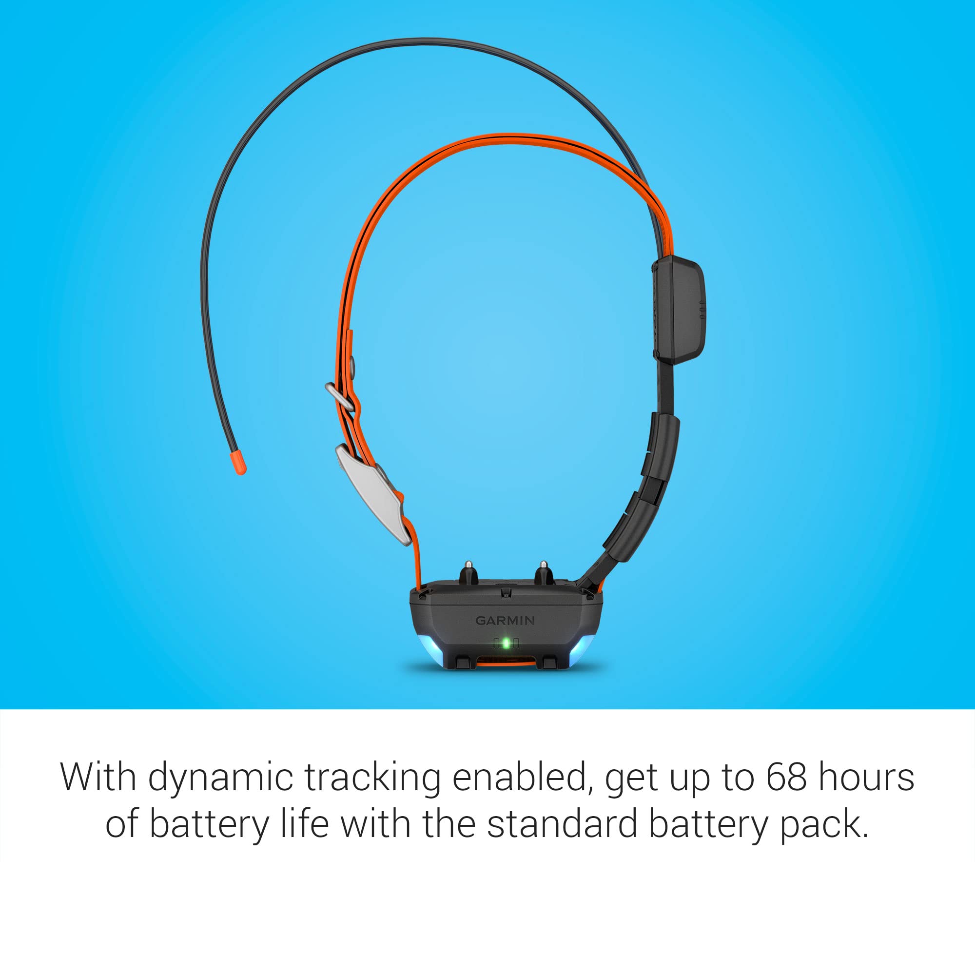 Garmin Alpha TT 25 night-visibility LED aids quick dog ID in low light.