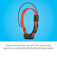 Garmin Alpha TT 25 training levels panel shows 18 options for training.