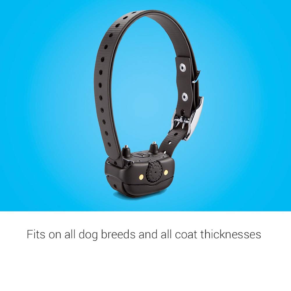 Garmin BarkLimiter Deluxe rechargeable-battery-indicator showing long-lasting power.