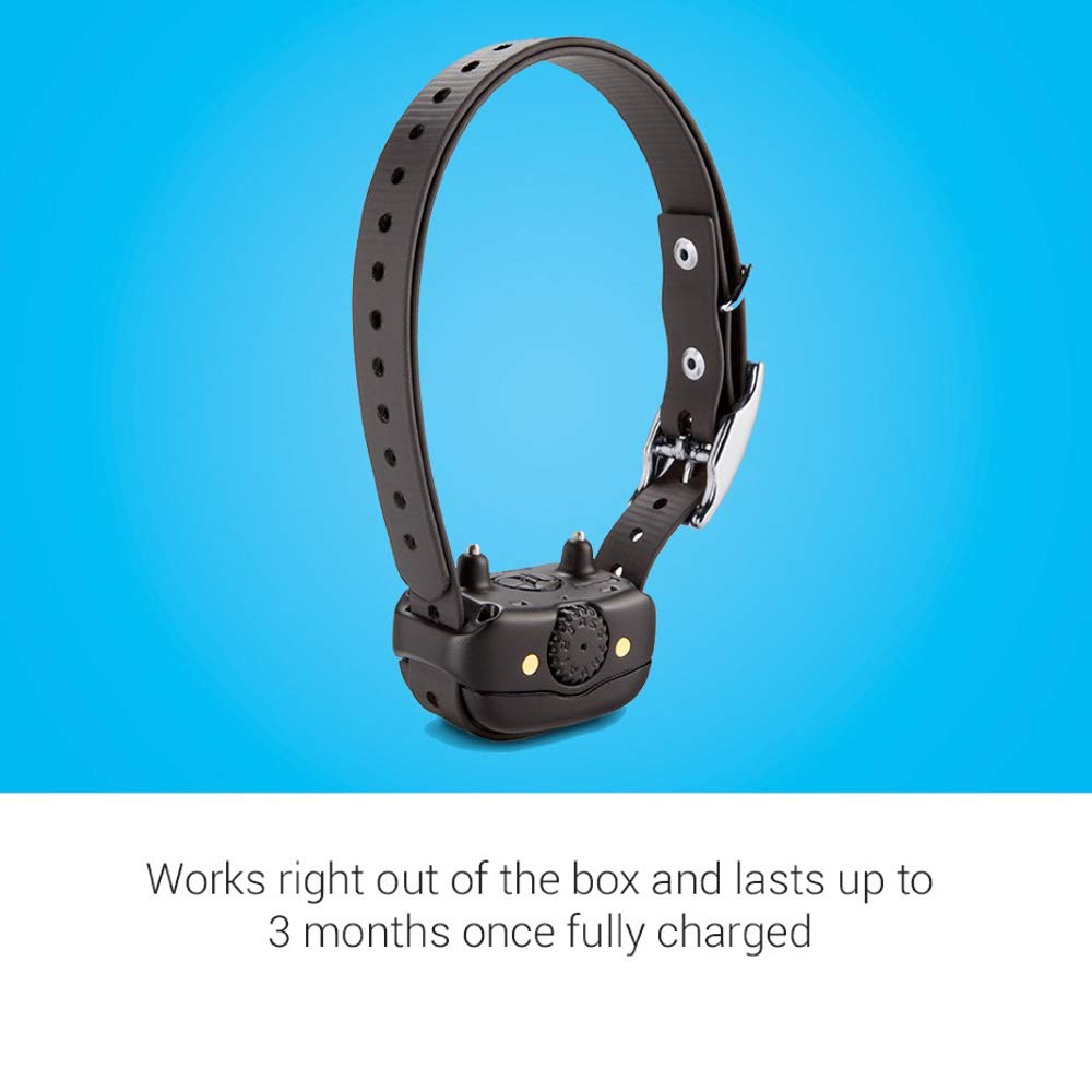 Garmin BarkLimiter Deluxe stainless-contact-points for all coat types.