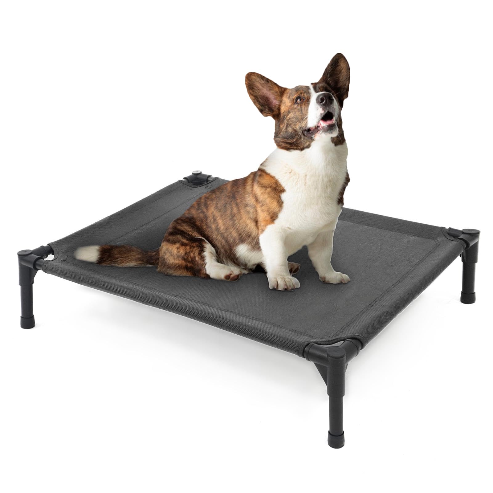 Garnpet elevated dog bed assembled, showing a sturdy frame for durable indoor or outdoor use.