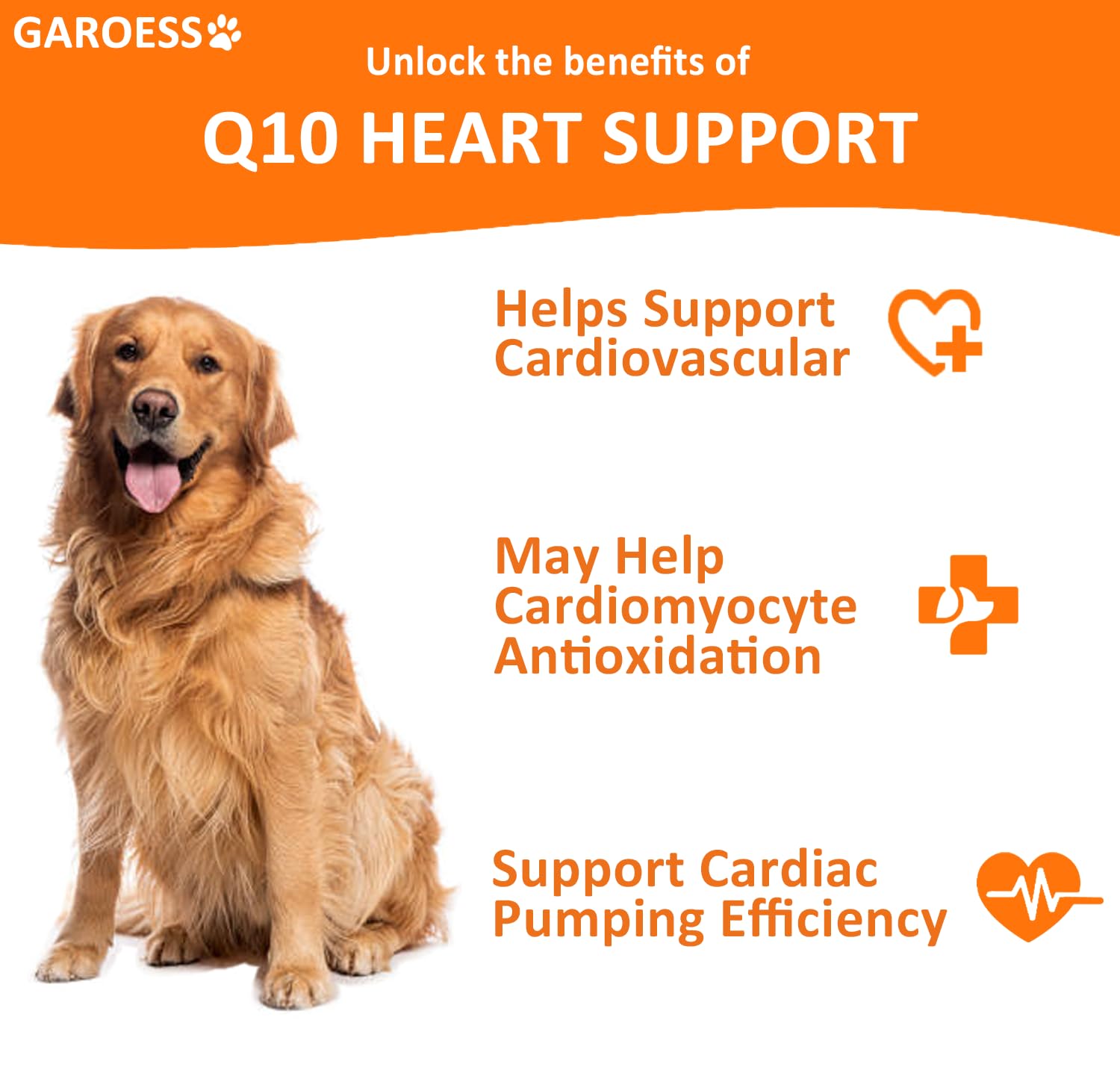Happy dog enjoying GAROESS CoQ10 Heart Chew for daily energy