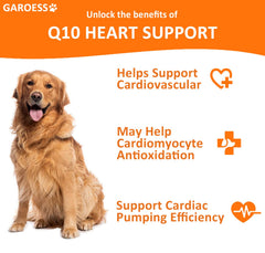 Happy dog enjoying GAROESS CoQ10 Heart Chew for daily energy