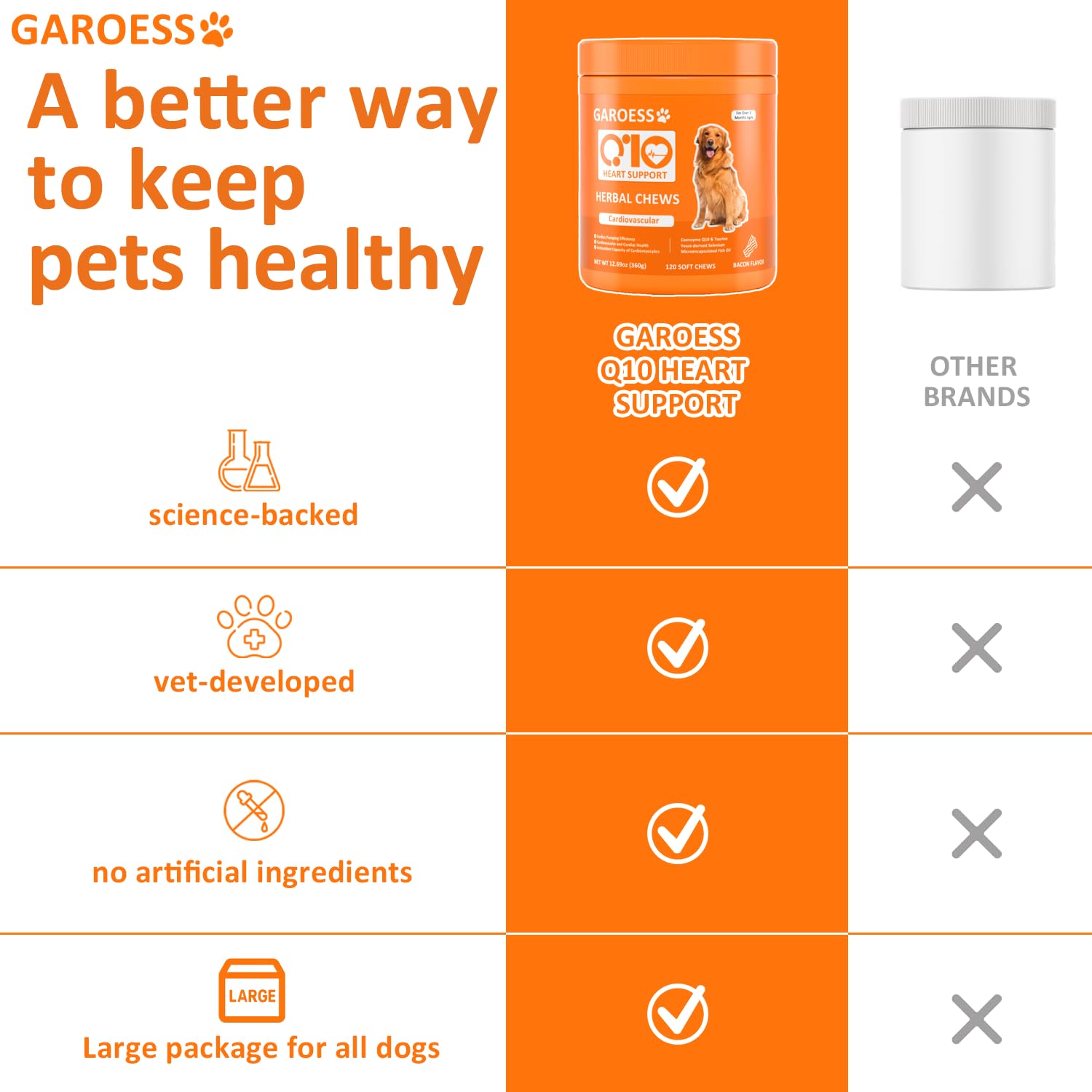 Active dog running with GAROESS Heart Chew boosted energy
