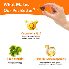 Close-up of GAROESS CoQ10 Heart Chew highlighting antioxidant protection
