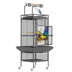 Garvee bird playground with feeding ladder encourages active play.