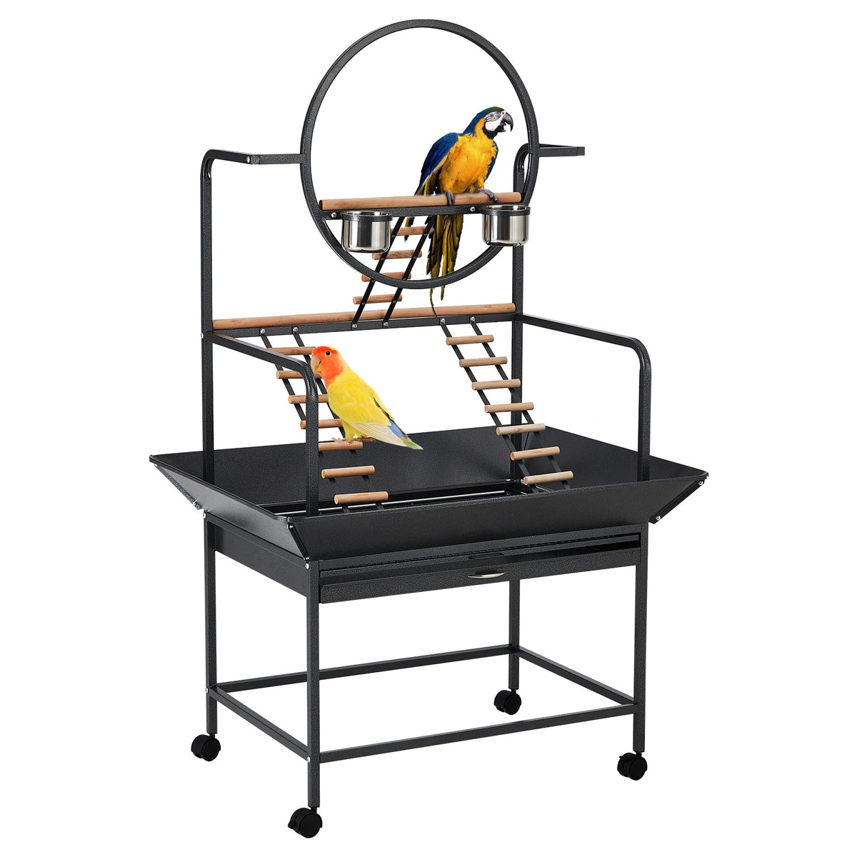 Garvee Bird Playstand 66in assembly for quick setup and space-saving play