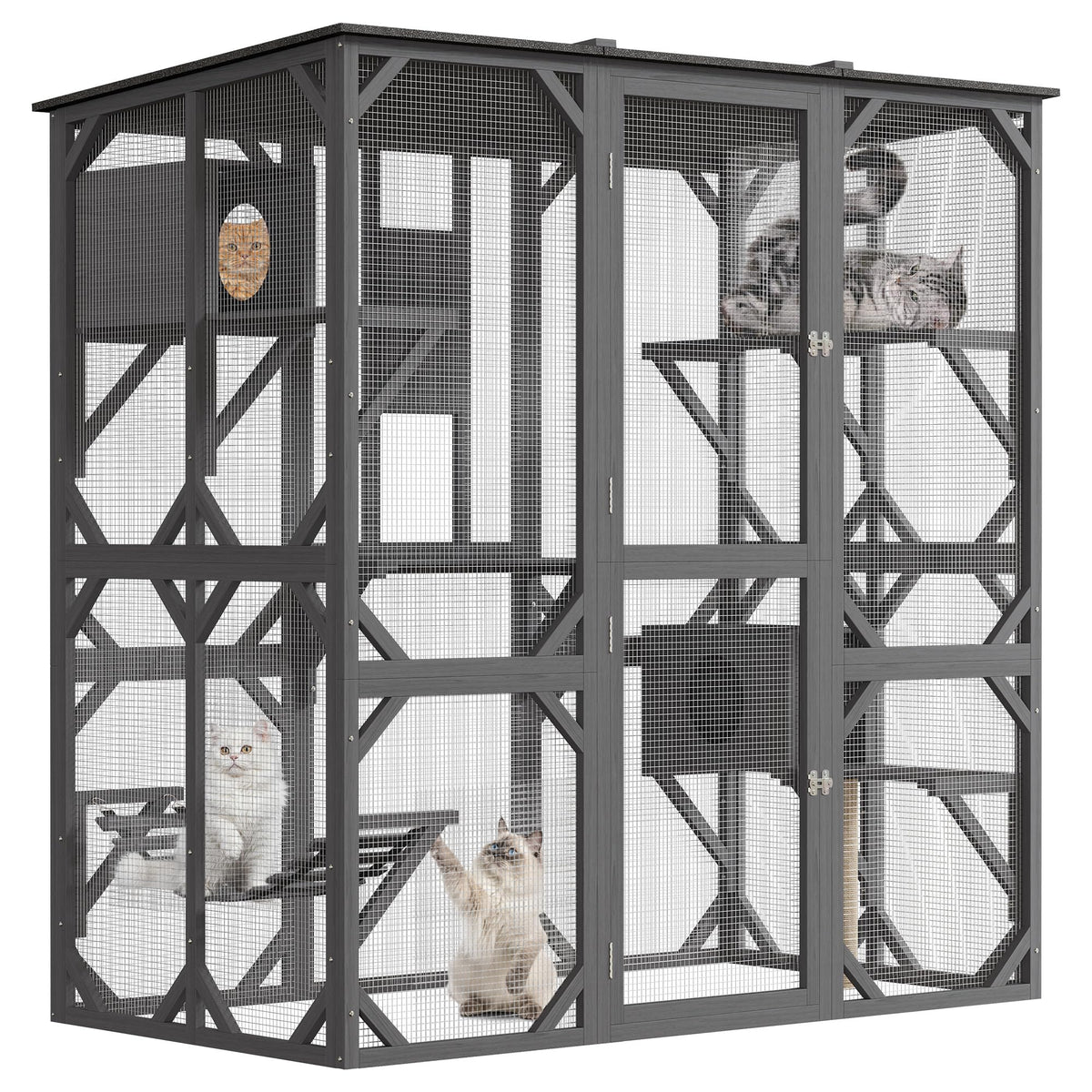 GarveeLife 70in walk-in catio wood-frame close-up, highlighting sturdy construction for safe viewing.