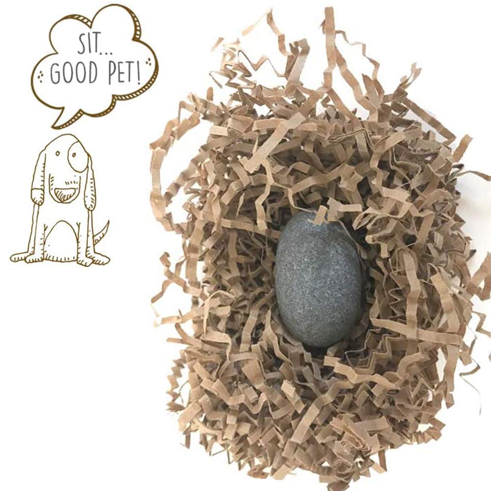 Gary Dahl Pet Rock Travel Crate beside the rock for portable display.