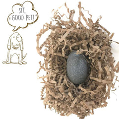 Gary Dahl Pet Rock Travel Crate beside the rock for portable display.