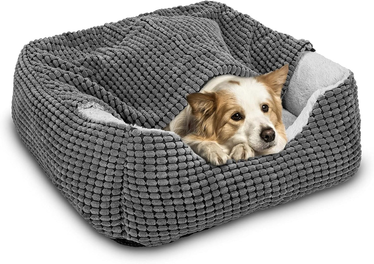 Gasur dog bed with cave cover offers a warm den for small dogs