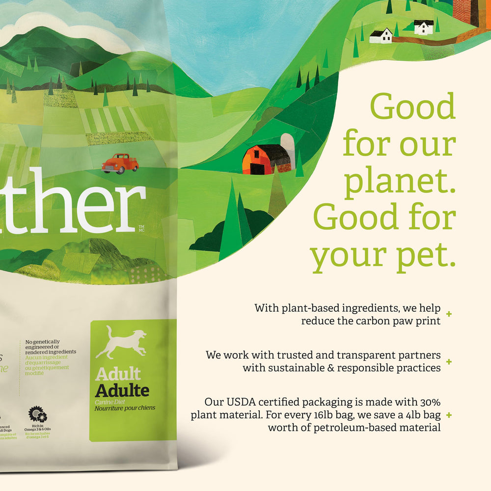 Eco-friendly packaging highlighted on the Endless Valley bag.